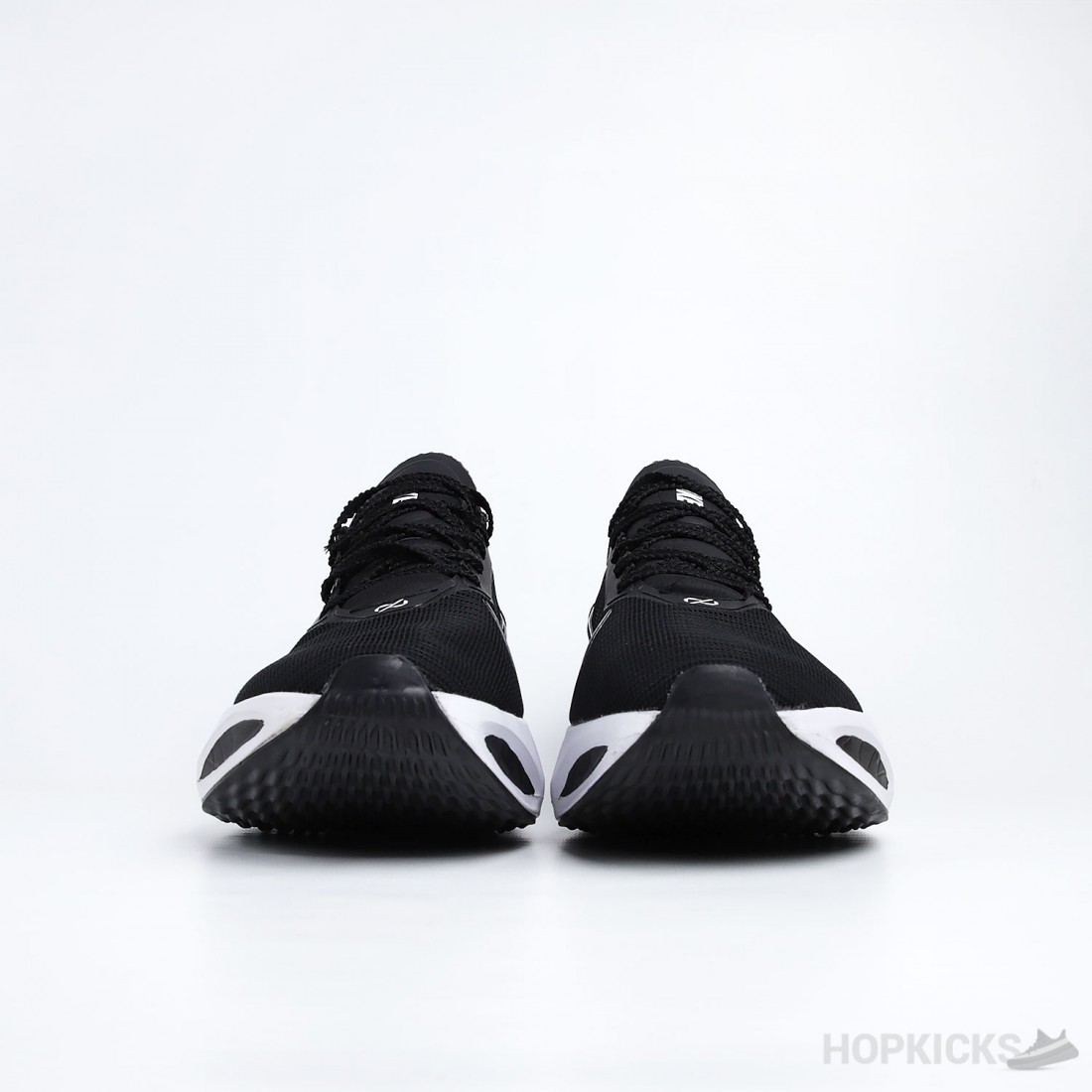 pegasus 39 pro